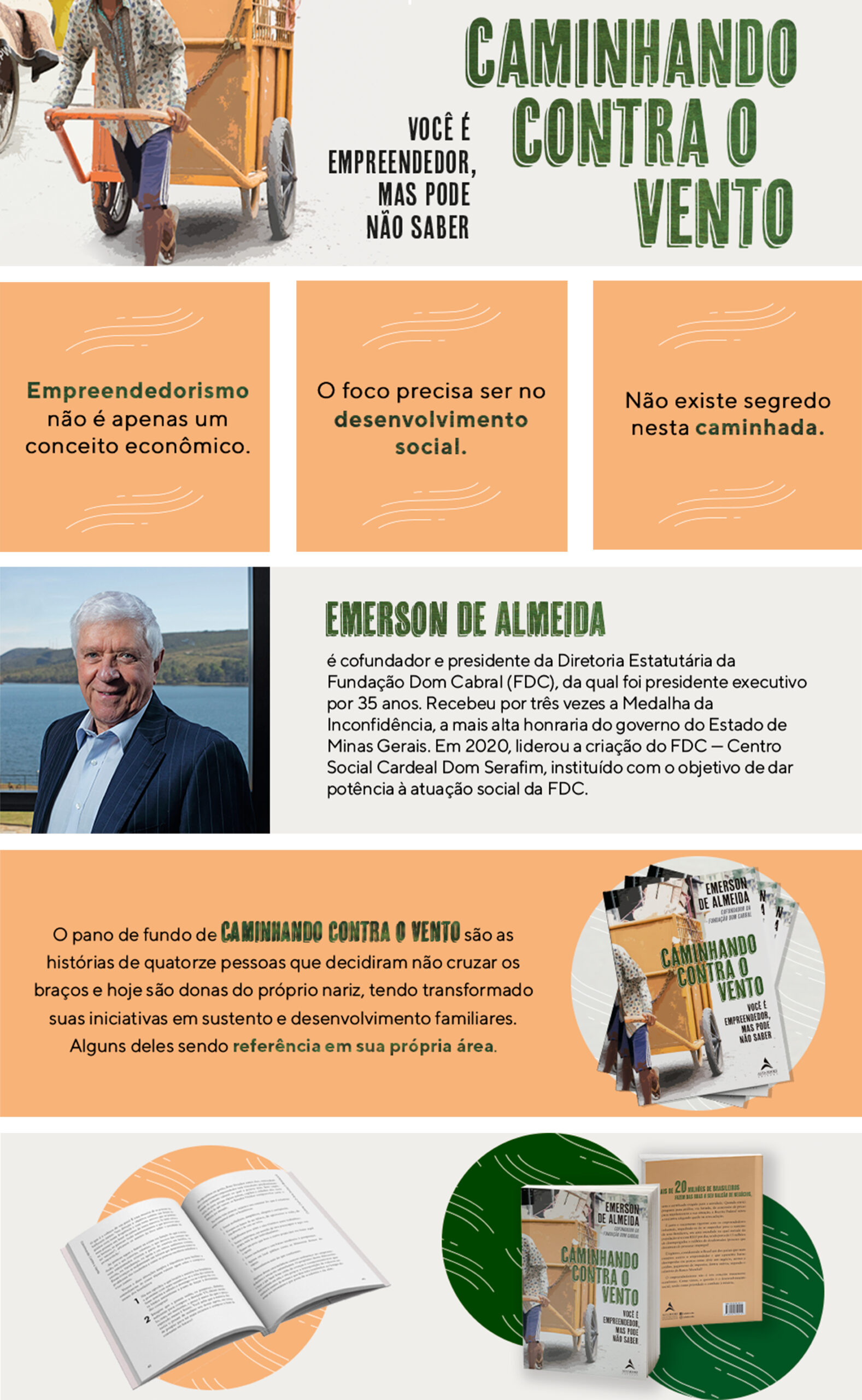 Caminhando contra o vento – Editora Alta Books