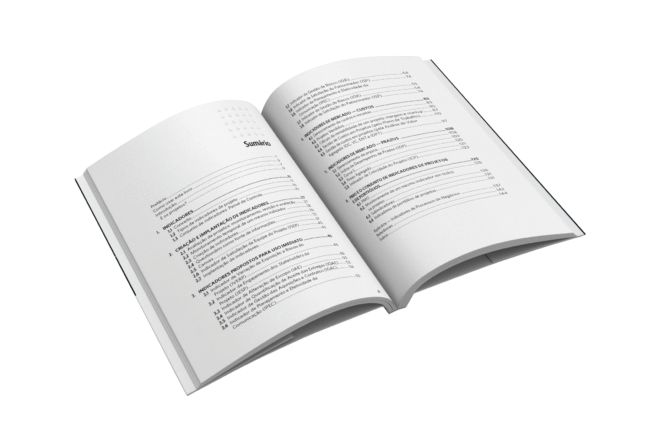 Indicadores de gerenciamento de projetos - Imagem 4