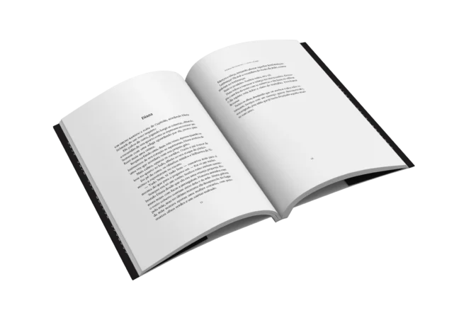 O livro de Izel - Imagem 4