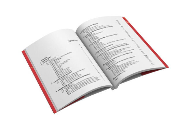 Como ter sucesso na gestão de projetos - Imagem 5