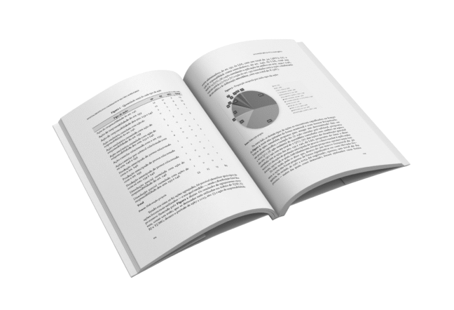 Revista de direito das sociedades e dos valores mobiliários - Volume 18 - Imagem 2