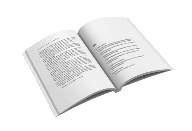 Revista de direito das sociedades e dos valores mobiliários - Volume 18 - Imagem 4