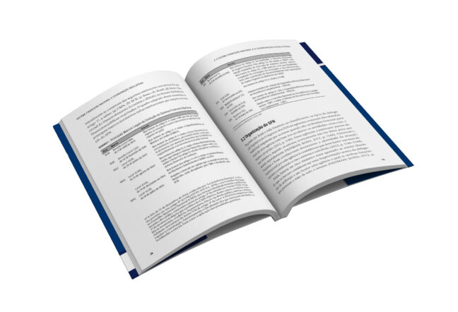 Sistema financeiro nacional e coordenação regulatória - Imagem 5