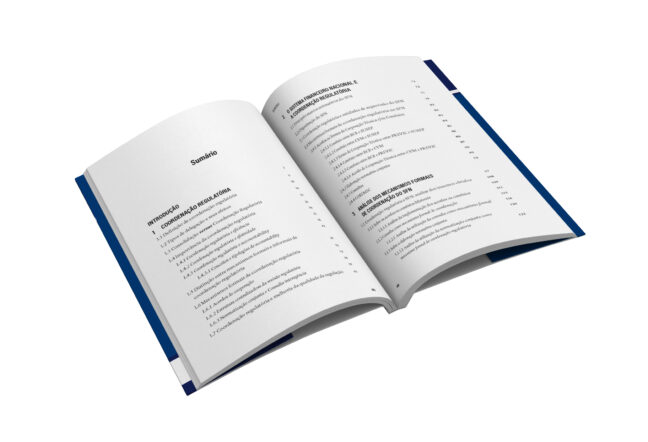 Sistema financeiro nacional e coordenação regulatória - Imagem 4