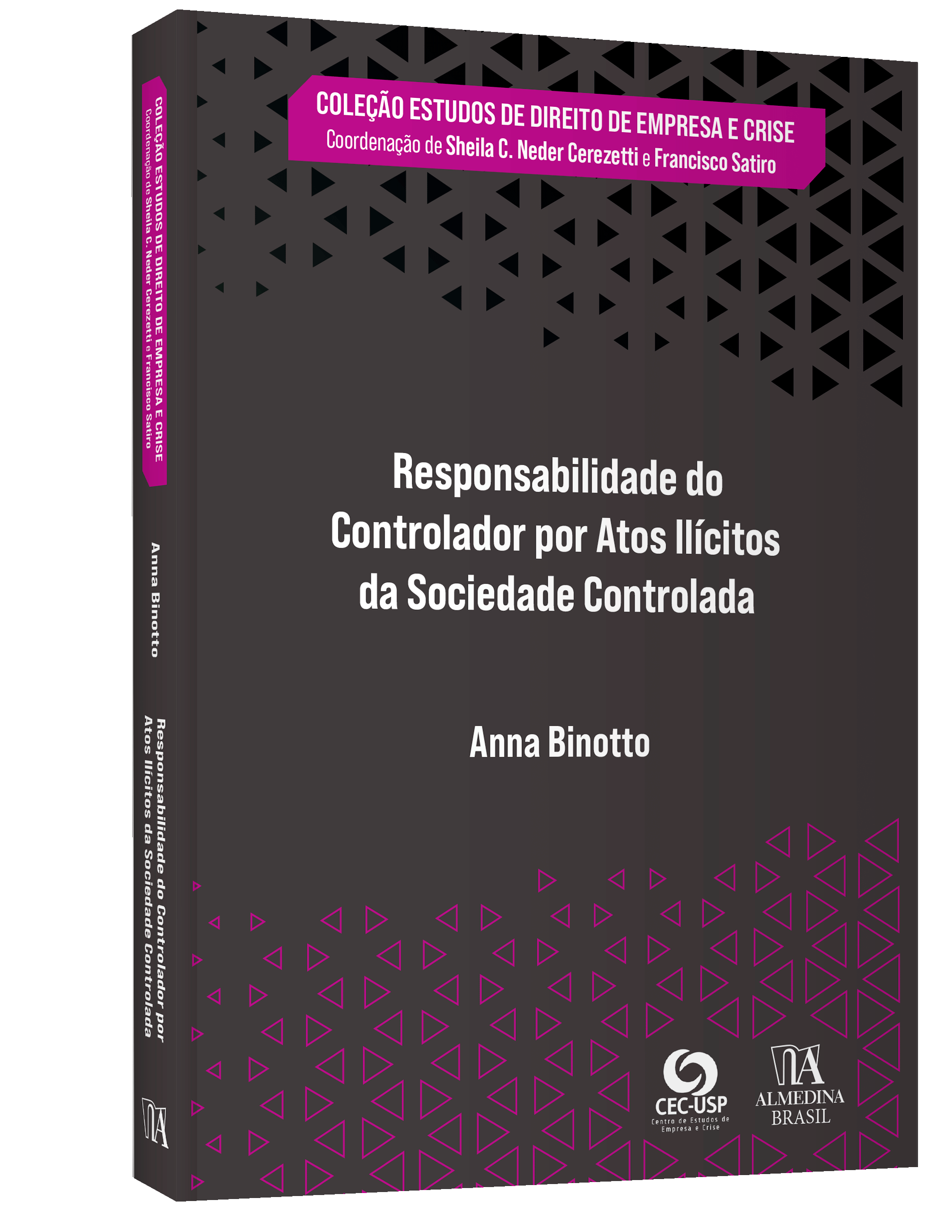 Responsabilidade do controlador por atos ilícitos da sociedade controlada - Imagem 2