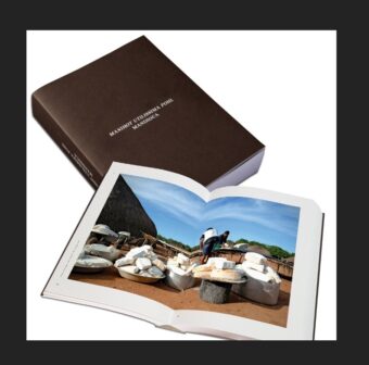 Mandioca: Manihot utilissima Pohl